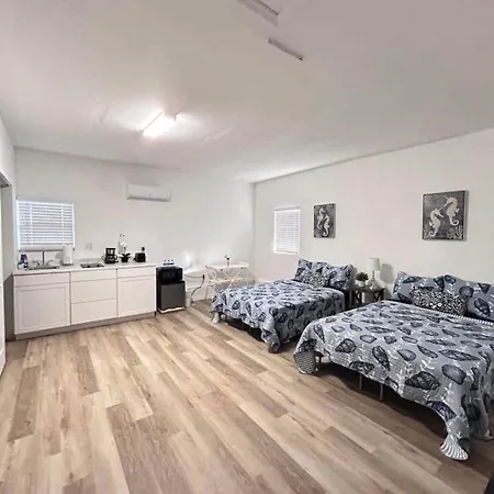 547B) Newly Updated Studio In A Great Neighborhood